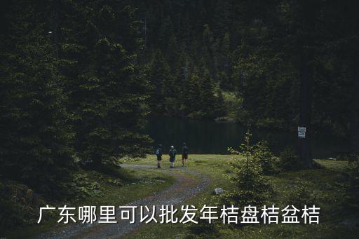 東莞石碣鎮年桔批發，東莞水果早桔批發價格