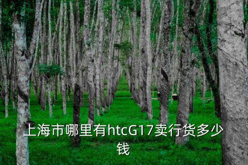 上海市哪里有htcG17賣行貨多少錢