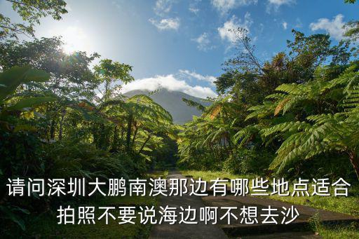 請問深圳大鵬南澳那邊有哪些地點適合拍照不要說海邊啊不想去沙
