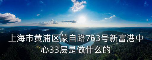上海市黃浦區(qū)蒙自路763號新富港中心33層是做什么的