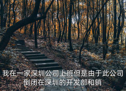 深圳市博雅堂，廣東省深圳市龍崗區那里有學習詠春拳