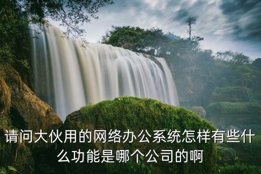 請問大伙用的網絡辦公系統怎樣有些什么功能是哪個公司的啊