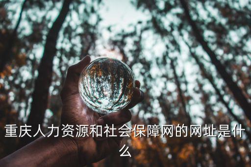 重慶人力資源和社會保障網(wǎng)的網(wǎng)址是什么