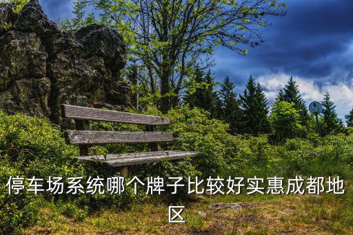 停車場系統哪個牌子比較好實惠成都地區