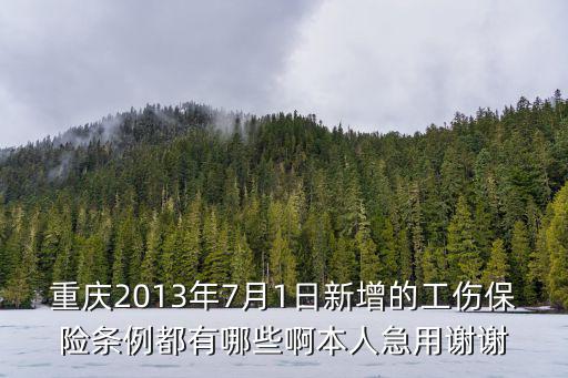 重慶2013年7月1日新增的工傷保險條例都有哪些啊本人急用謝謝