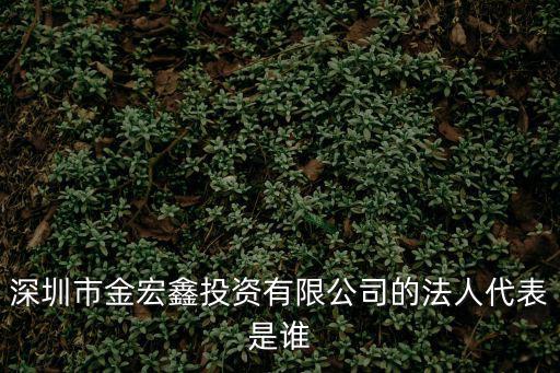 深圳市金宏鑫投資有限公司的法人代表是誰