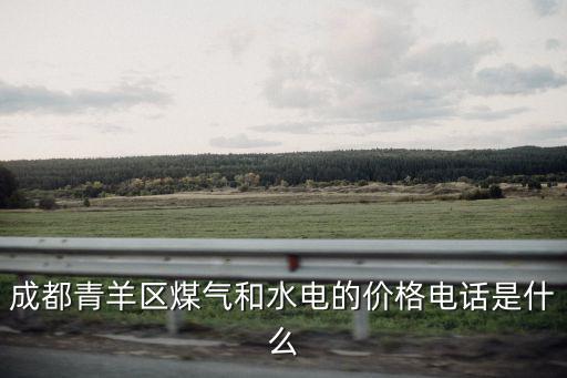 成都市青羊區(qū)燃?xì)鉂q價(jià)，在青羊區(qū)舞東風(fēng)能不能交成華的天然氣費(fèi)呢謝謝啊