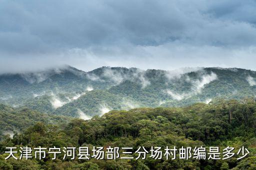 天津市村級組識結構，天津市有一個縣還是一個鎮土地一直沒分到戶請問是哪個縣還是哪