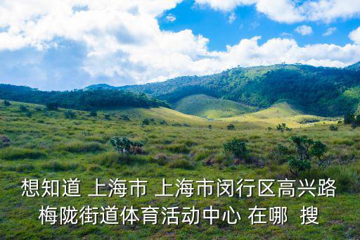 想知道 上海市 上海市閔行區(qū)高興路梅隴街道體育活動中心 在哪  搜
