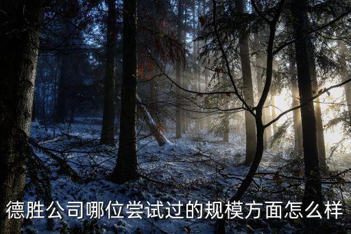 德勝公司哪位嘗試過的規(guī)模方面怎么樣