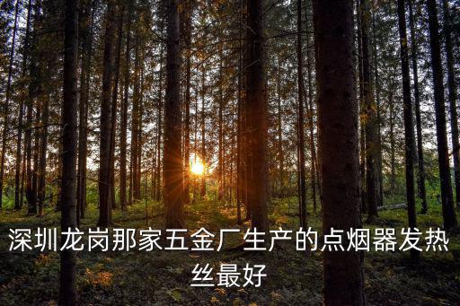 深圳龍崗那家五金廠生產(chǎn)的點煙器發(fā)熱絲最好