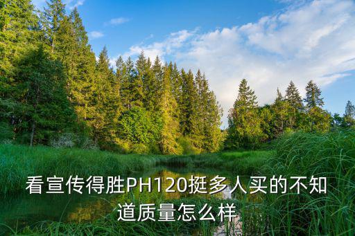 看宣傳得勝PH120挺多人買的不知道質(zhì)量怎么樣