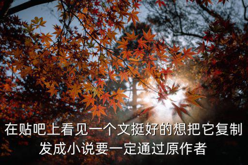 在貼吧上看見一個(gè)文挺好的想把它復(fù)制發(fā)成小說要一定通過原作者
