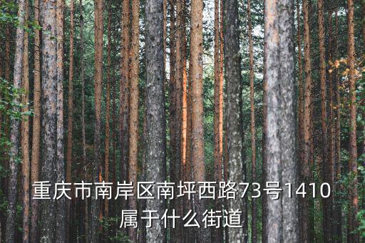重慶市南岸區(qū)全紫街，重慶市南岸區(qū)南坪西路73號(hào)1410屬于什么街道