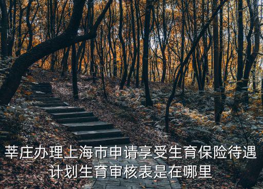 莘莊辦理上海市申請享受生育保險待遇計劃生育審核表是在哪里
