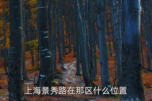 上海景秀路在那區(qū)什么位置