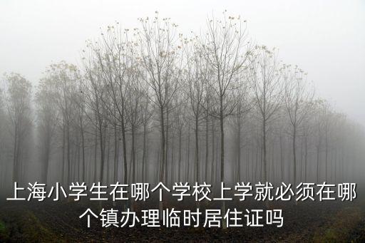 上海小學(xué)生在哪個(gè)學(xué)校上學(xué)就必須在哪個(gè)鎮(zhèn)辦理臨時(shí)居住證嗎
