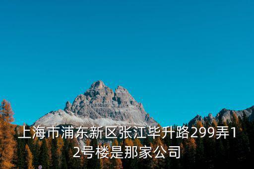 上海市浦東新區張江畢升路299弄12號樓是那家公司