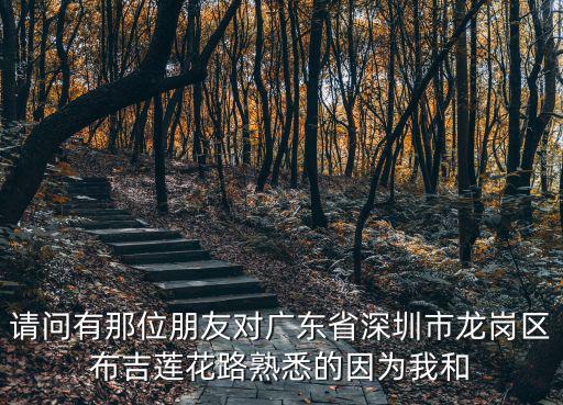 請問有那位朋友對廣東省深圳市龍崗區布吉蓮花路熟悉的因為我和