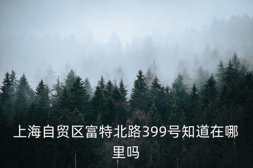 上海自貿(mào)區(qū)富特北路399號知道在哪里嗎