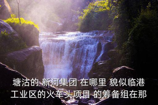 塘沽的 新河集團 在哪里 貌似臨港工業區的火車頭項目 的籌備組在那