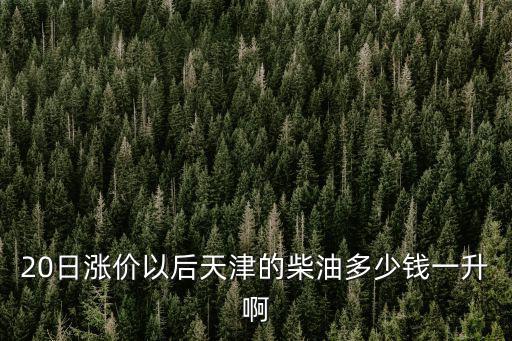 20日漲價以后天津的柴油多少錢一升啊