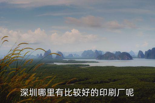 深圳哪里有比較好的印刷廠呢