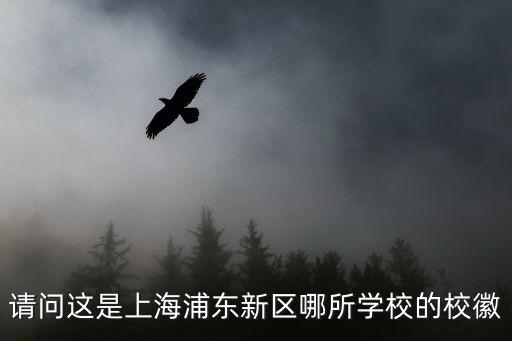 請(qǐng)問(wèn)這是上海浦東新區(qū)哪所學(xué)校的校徽