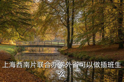 上海西南片聯合辦學外省可以做插班生么