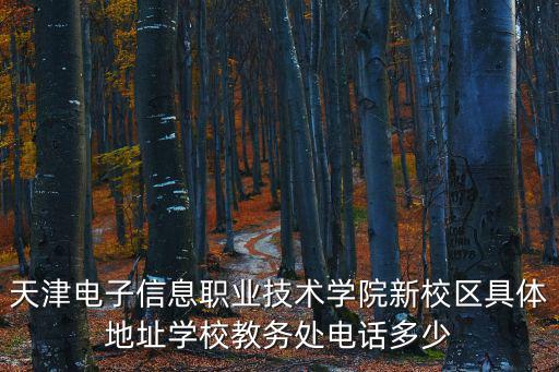 天津電子信息職業(yè)技術(shù)學(xué)院新校區(qū)具體地址學(xué)校教務(wù)處電話多少