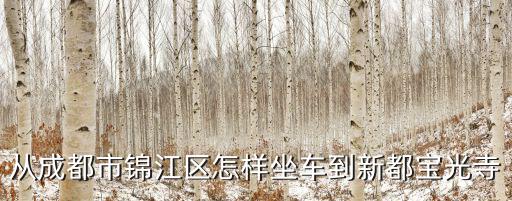 從成都市錦江區怎樣坐車到新都寶光寺