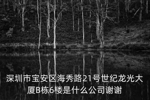 深圳市寶安區海秀路21號世紀龍光大廈B棟6樓是什么公司謝謝