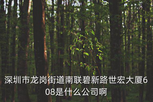 富宇宏科技深圳有限公司，深圳市龍崗街道南聯碧新路世宏大廈608是什么公司啊