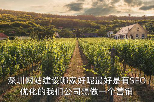 深圳網站建設哪家好呢最好是有SEO優化的我們公司想做一個營銷