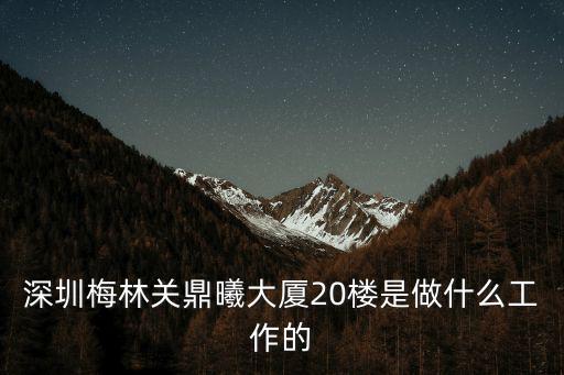 成都國信安深圳分公司，深圳梅林關(guān)鼎曦大廈20樓是做什么工作的