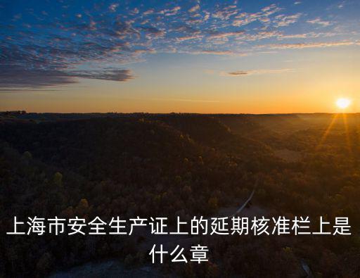 上海市安全生產證上的延期核準欄上是什么章