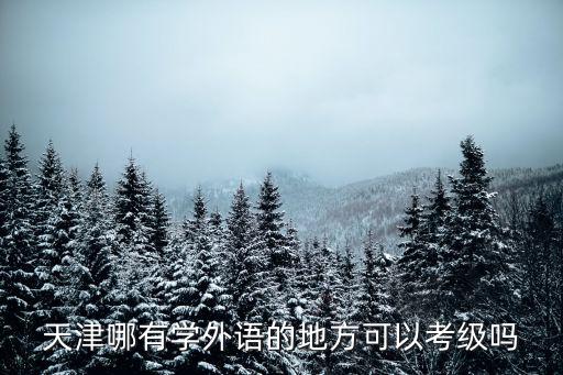天津哪有學(xué)外語的地方可以考級嗎