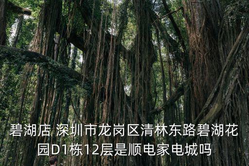 碧湖店 深圳市龍崗區清林東路碧湖花園D1棟12層是順電家電城嗎