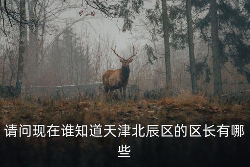 請問現(xiàn)在誰知道天津北辰區(qū)的區(qū)長有哪些