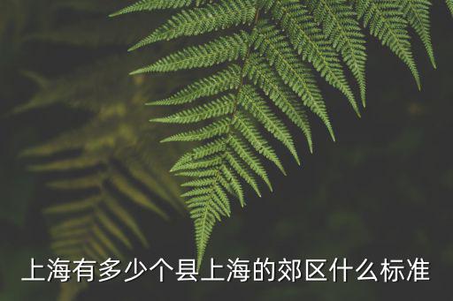上海有多少個縣上海的郊區什么標準