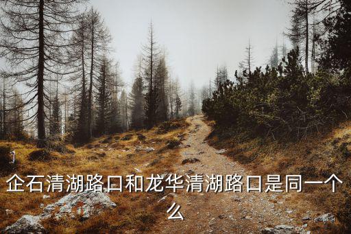 企石清湖路口和龍華清湖路口是同一個么