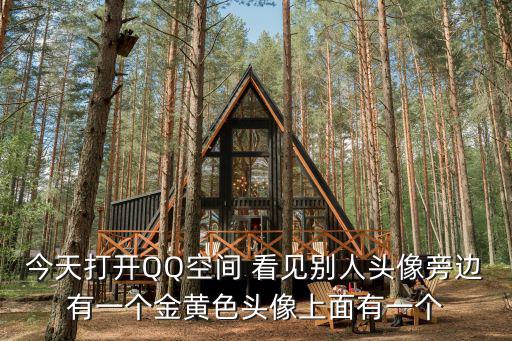 東莞掃黃頭像，今天打開QQ空間 看見別人頭像旁邊有一個金黃色頭像上面有一個
