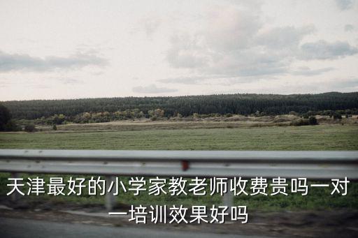 天津最好的小學家教老師收費貴嗎一對一培訓效果好嗎