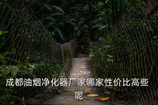成都市油煙凈化器代理商，成都油煙凈化器廠家哪家性價比高些 呢