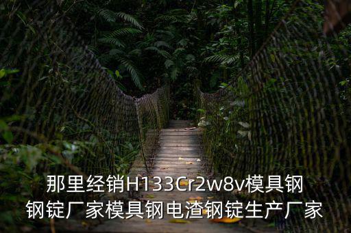 那里經銷H133Cr2w8v模具鋼鋼錠廠家模具鋼電渣鋼錠生產廠家