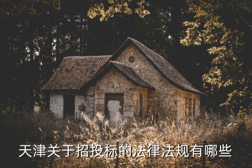 天津市投資項(xiàng)目管理辦法，項(xiàng)目控制計(jì)劃管理辦法