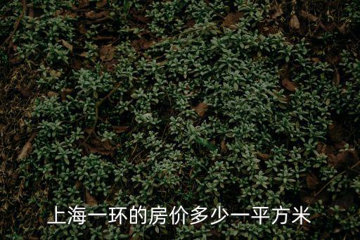 上海一環的房價多少一平方米