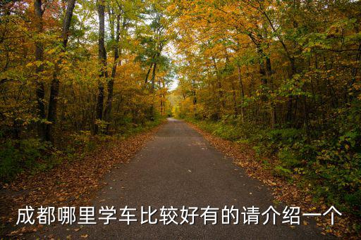 成都市周邊哪里好練車，成都哪里學車比較好有的請介紹一個