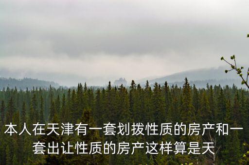 本人在天津有一套劃撥性質的房產和一套出讓性質的房產這樣算是天