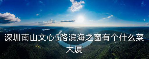 深圳南山文心5路濱海之窗有個什么菜大廈